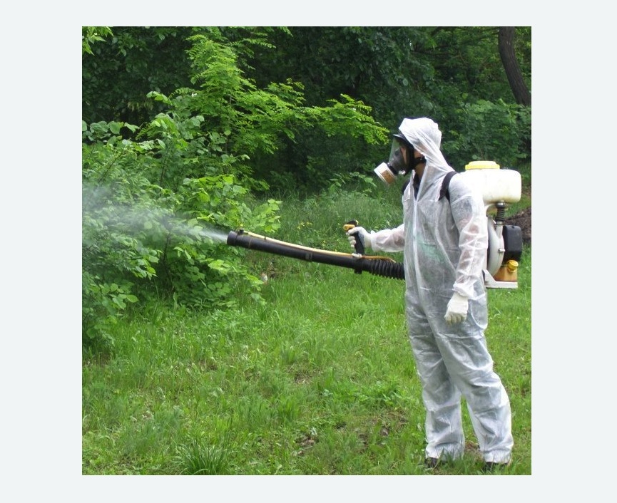 обработка территории от клещей в Тверском районе Москвы