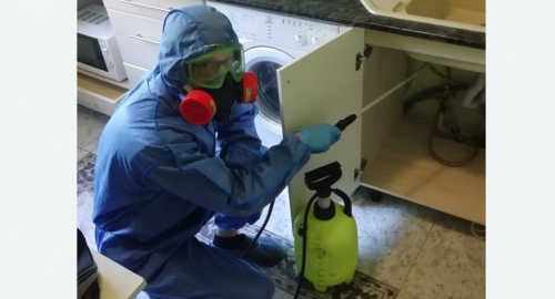 Уничтожение муравьев в квартире. Тверской район 