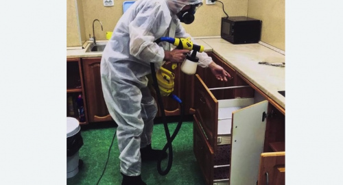 Уничтожение насекомых в квартире. Тверской район 