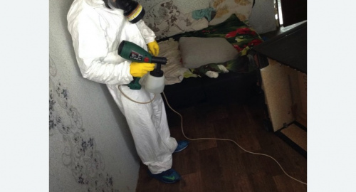 Обработка квартир от насекомых в Тверском районе Москвы