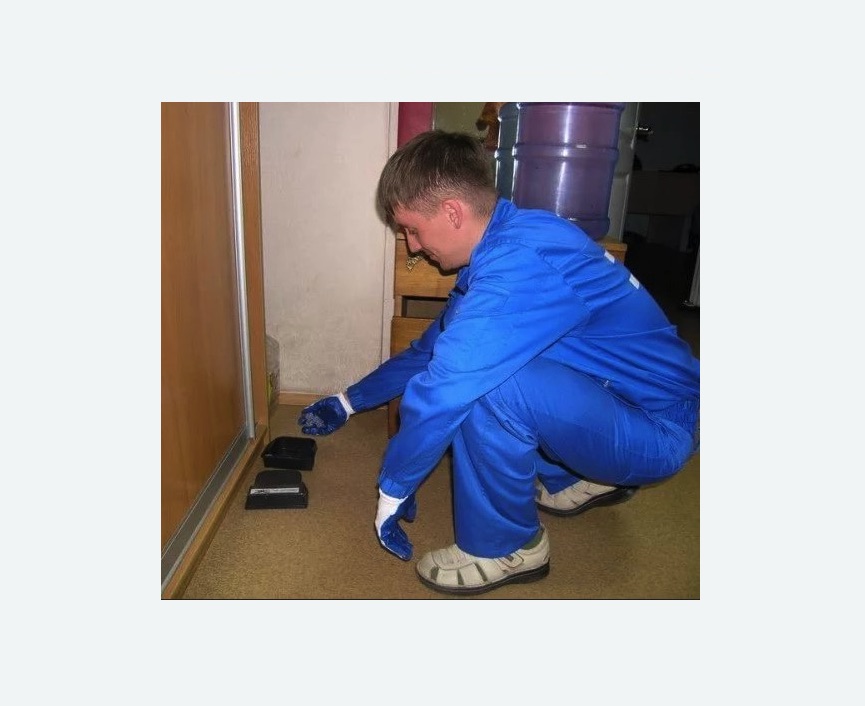 Дератизация крыс в Тверском районе Москвы