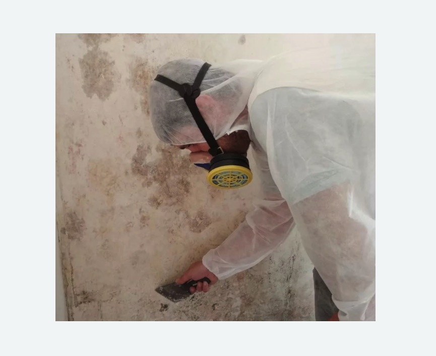 Обработка стен от плесени в Тверском районе Москвы