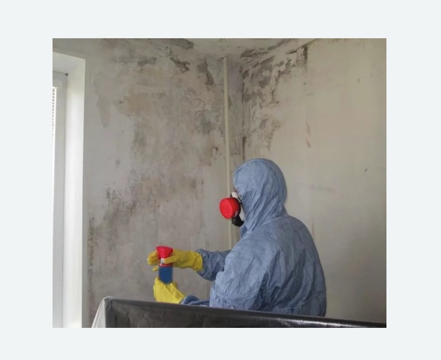 Удаление плесени в квартире в Тверском районе Москвы