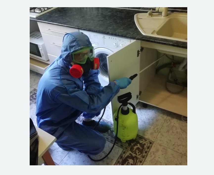 обработка от муравьев в квартире в Тверском районе Москвы