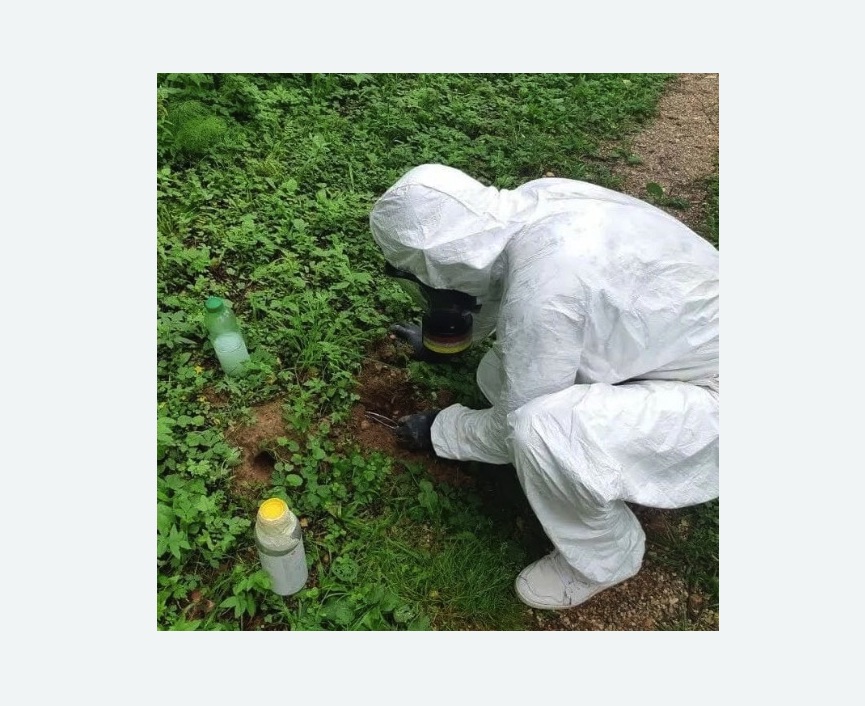 уничтожение кротов на участке уничтожение кротов на участке в Тверском районе Москвы