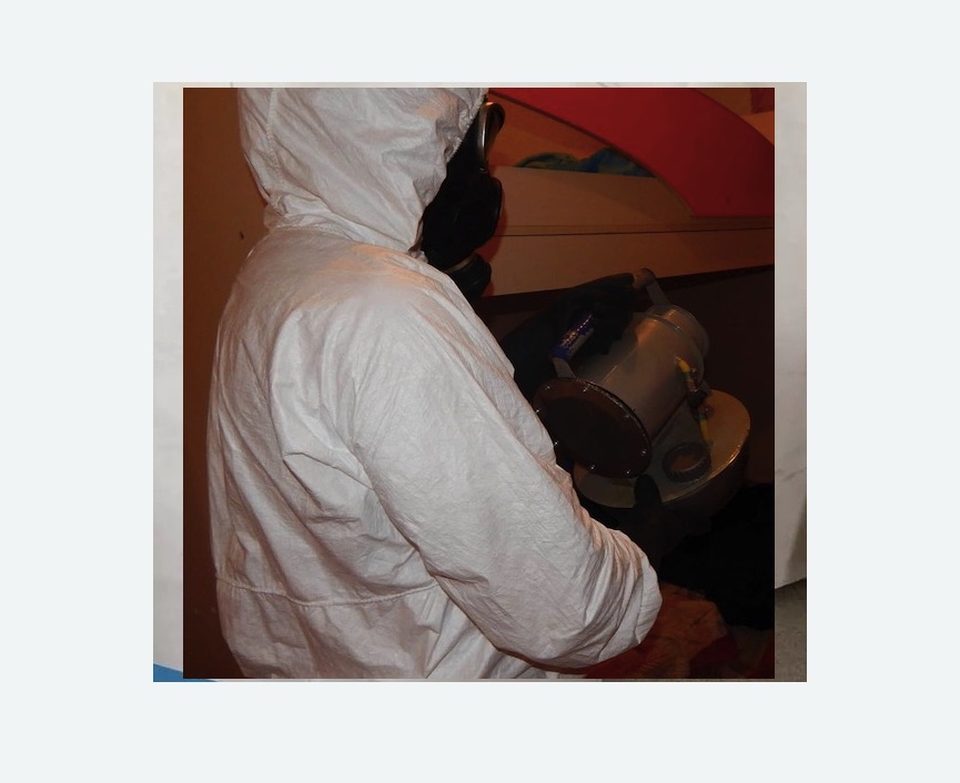 Дезинфекция от муравьев в Тверском районе Москвы