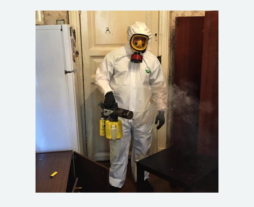 уничтожение муравьев в квартире в Тверском районе Москвы